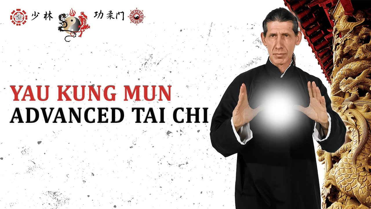 Mastering Yao Kung Mun Tai Chi: The 18 Low Hands Pushing Techniques