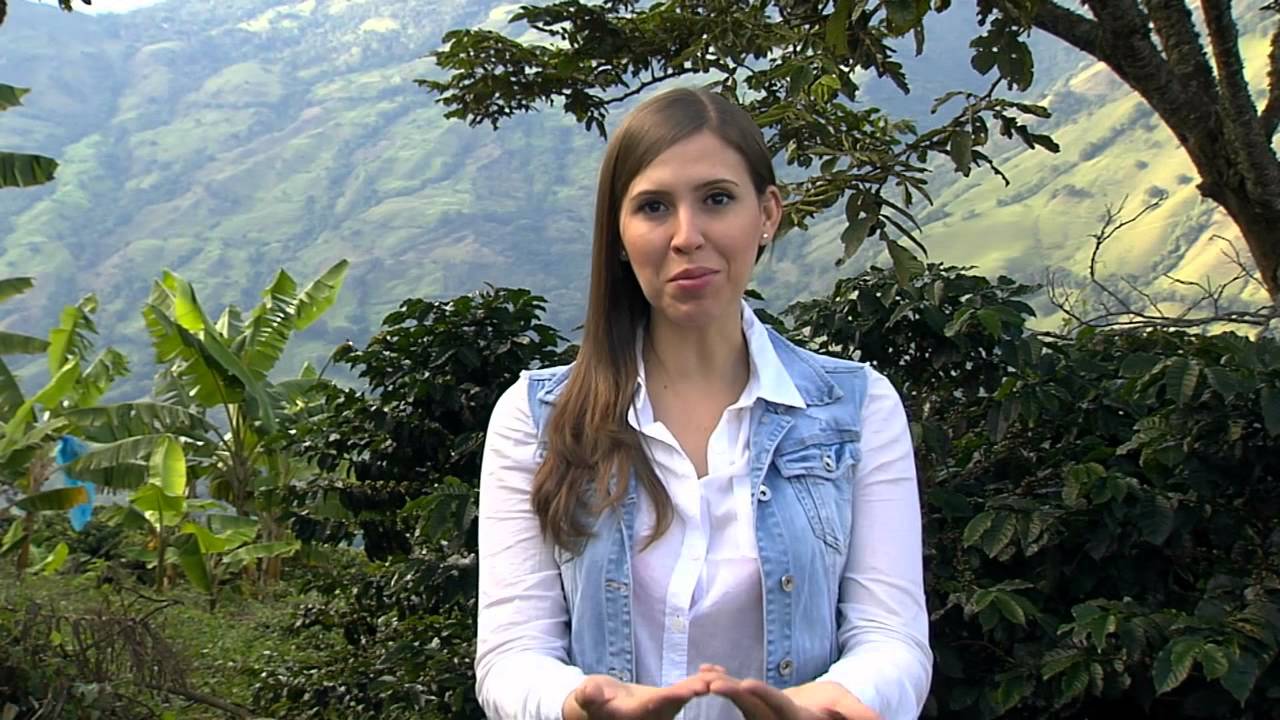 De aprendices de la Escuela de campo a empresarios del plátano en Betania (Capítulo completo)