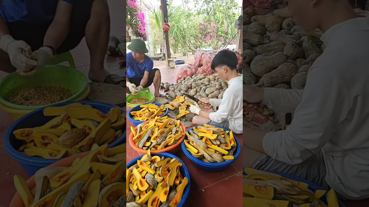 Minh Côn Trùng Gia Lai đang phát trực tiếp!