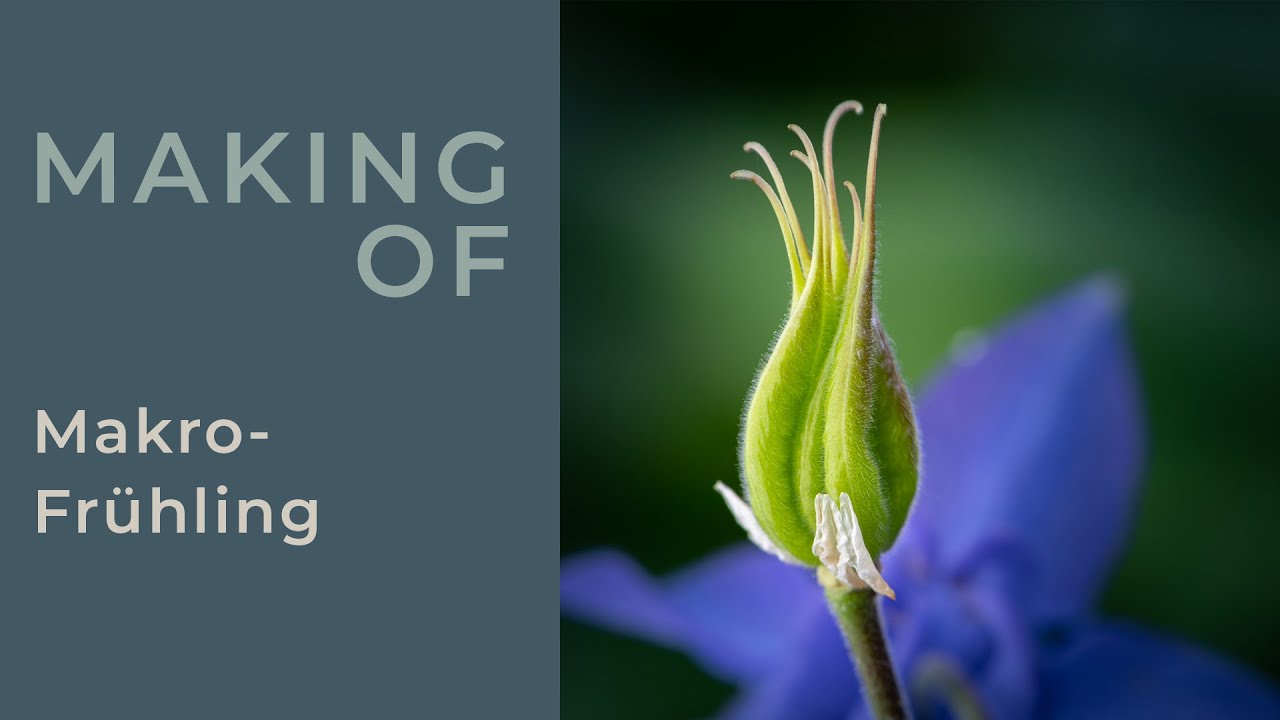 Makro-Frühling
