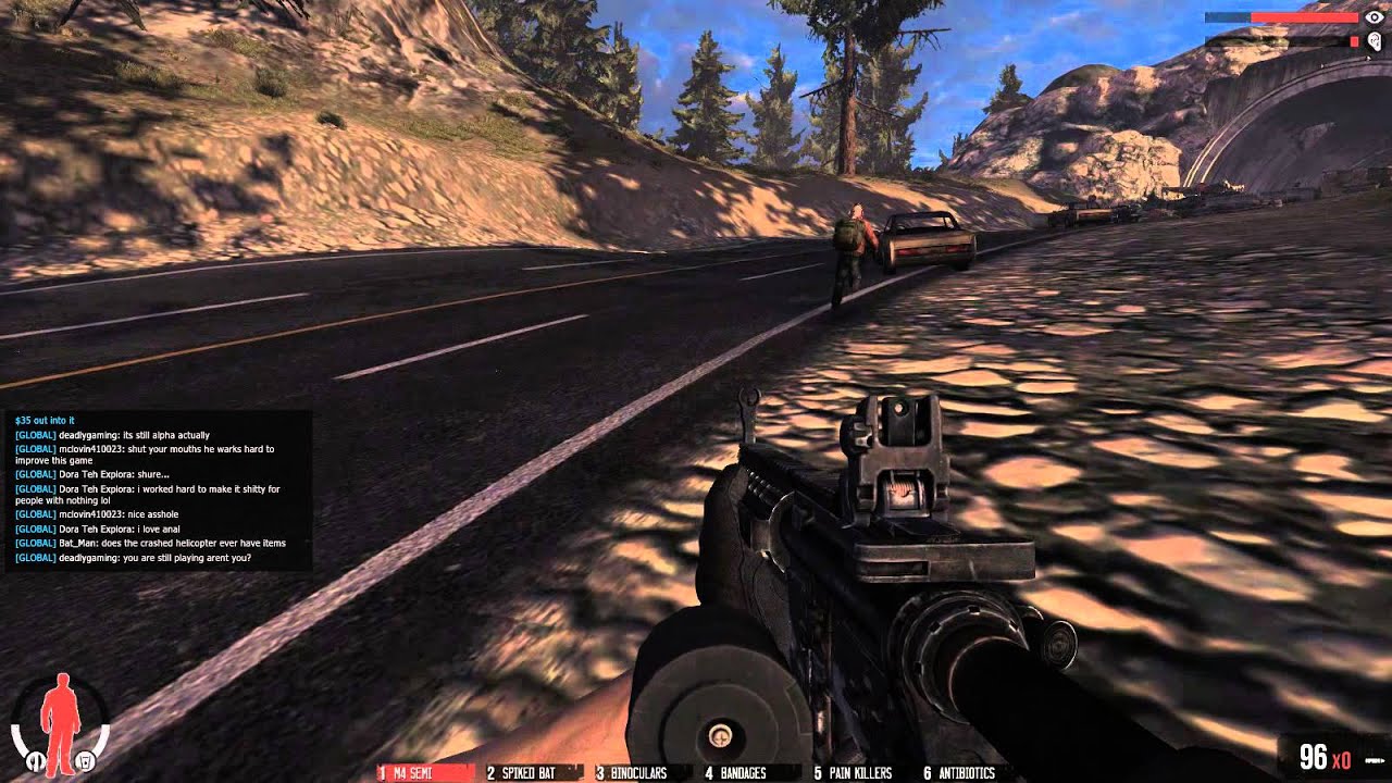 InZaneWarZ   WarZ Developer Interview Part 3