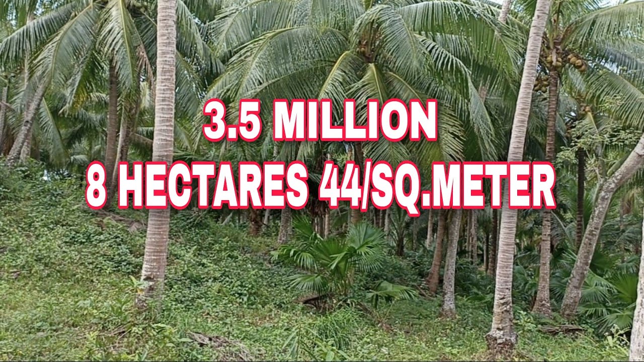 #652 #FARM LOT WITH LOW PRICE