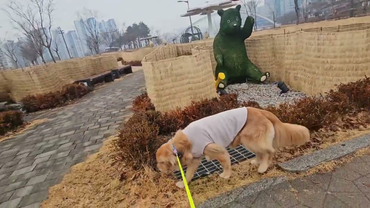 산책 오늘은 대충하자