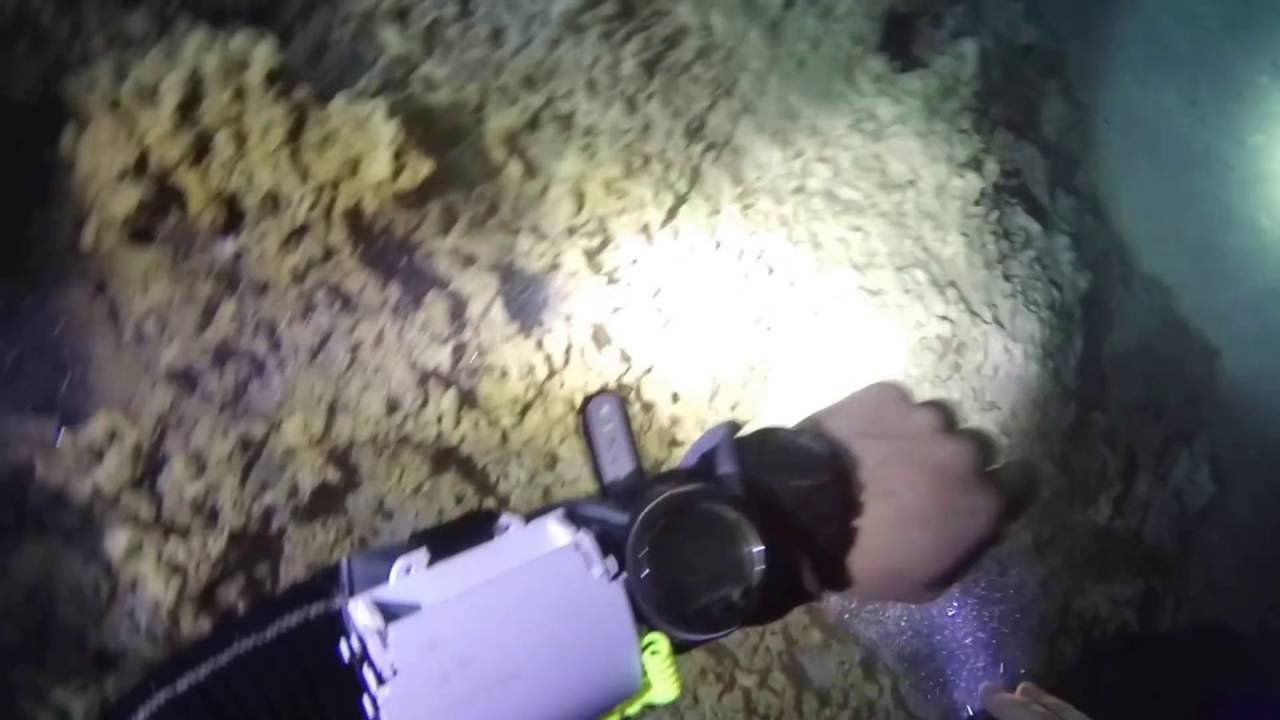 Morrison Springs, FL Deep Dive