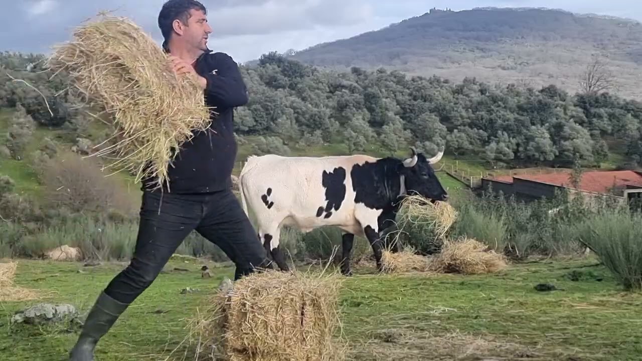 Ahora videos no puedo hacer directos en unos días .