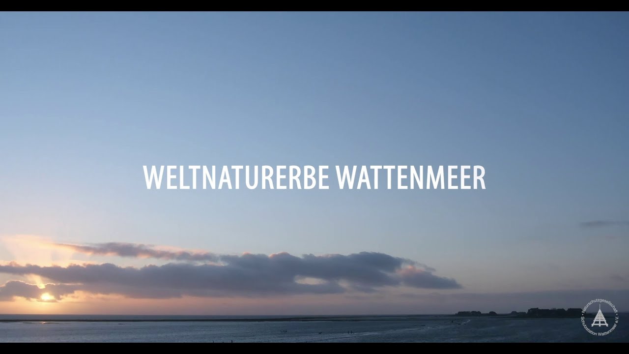 Weltnaturerbe Wattenmeer