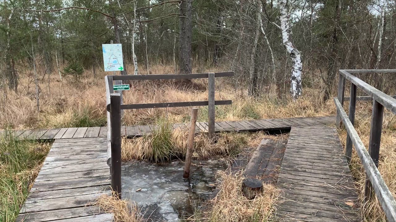 Ibmer Moor