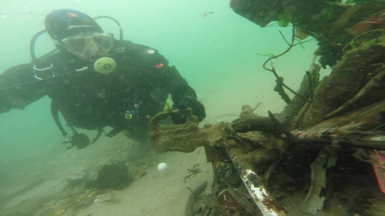 mudeford quay dive