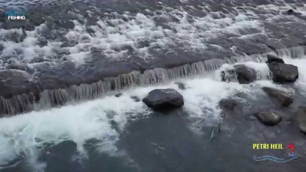 Spinning sul Torrente Talvera a Bolzano - Star Fishing.TV