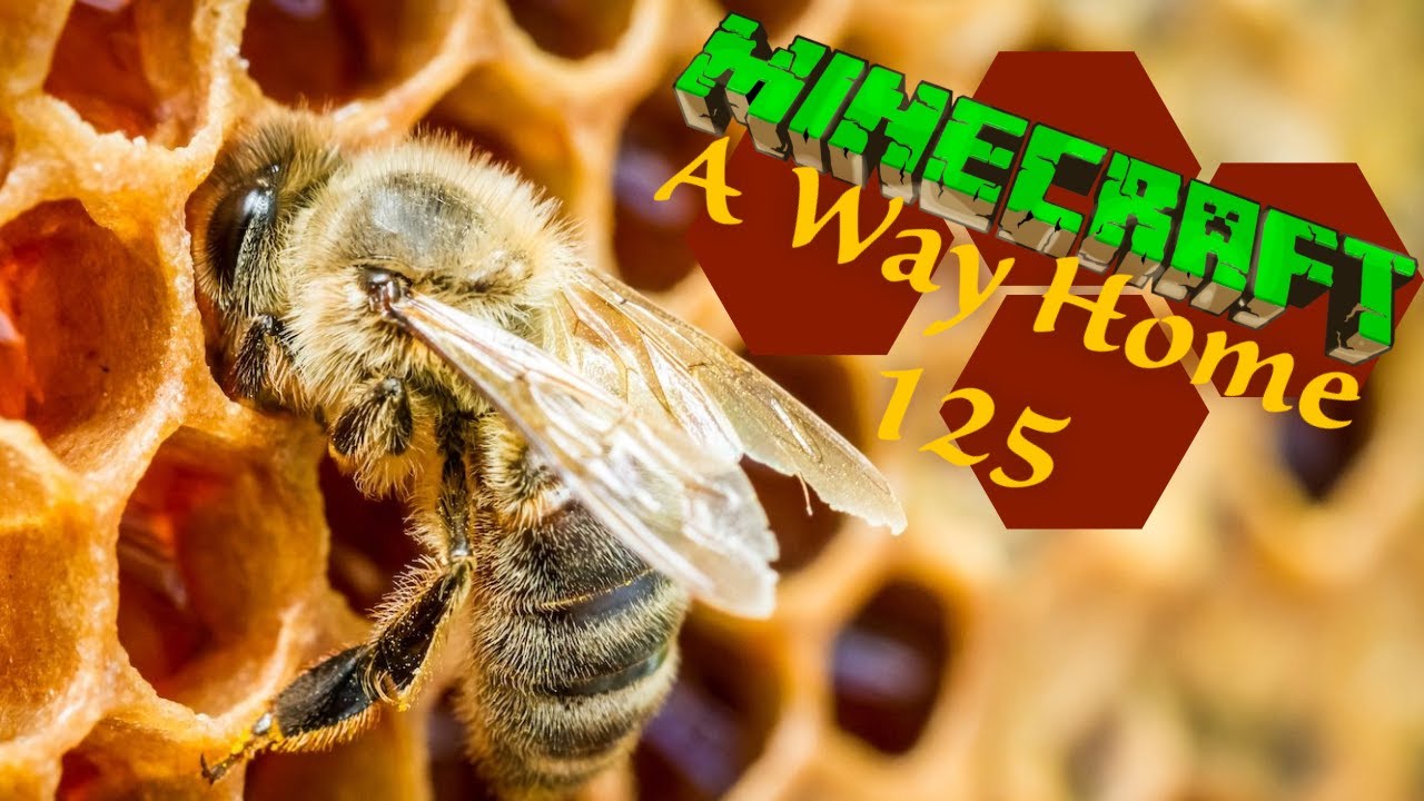 Kristin die Imkerin 🐝 Minecraft: A Way Home [E125]