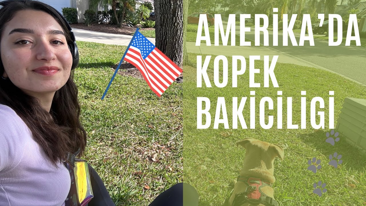 AMERIKA’DA DOG SITTING| HANGI APP’LERI KULLANIYORUM? NE KADAR UCRET ALIYORUM?