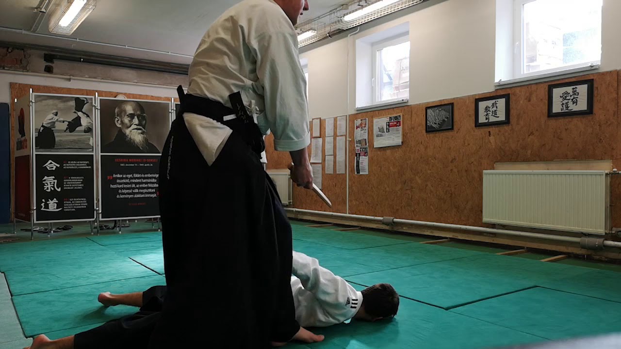 [TUTORIAL] Aikido: Tanto dori shomen uchi iriminage, kotegaeshi, gokyo