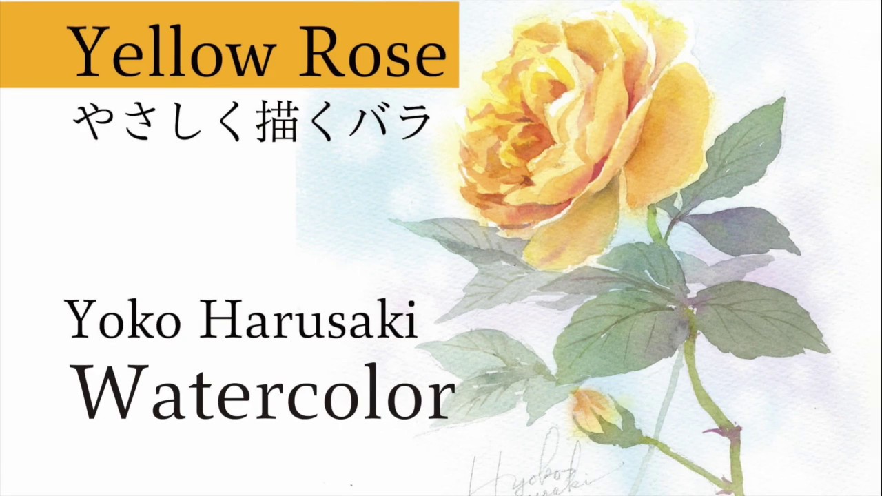 Yoko Harusaki［Yellow Rose］３色で描く水彩画　Watercolor 3 color watercolor painting　水彩画　薔薇の描き方