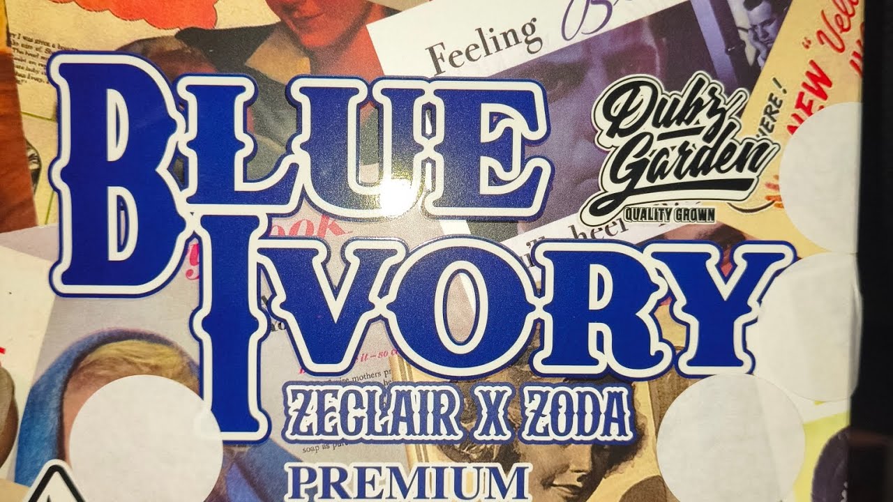 Blue ivory by dubz garden 