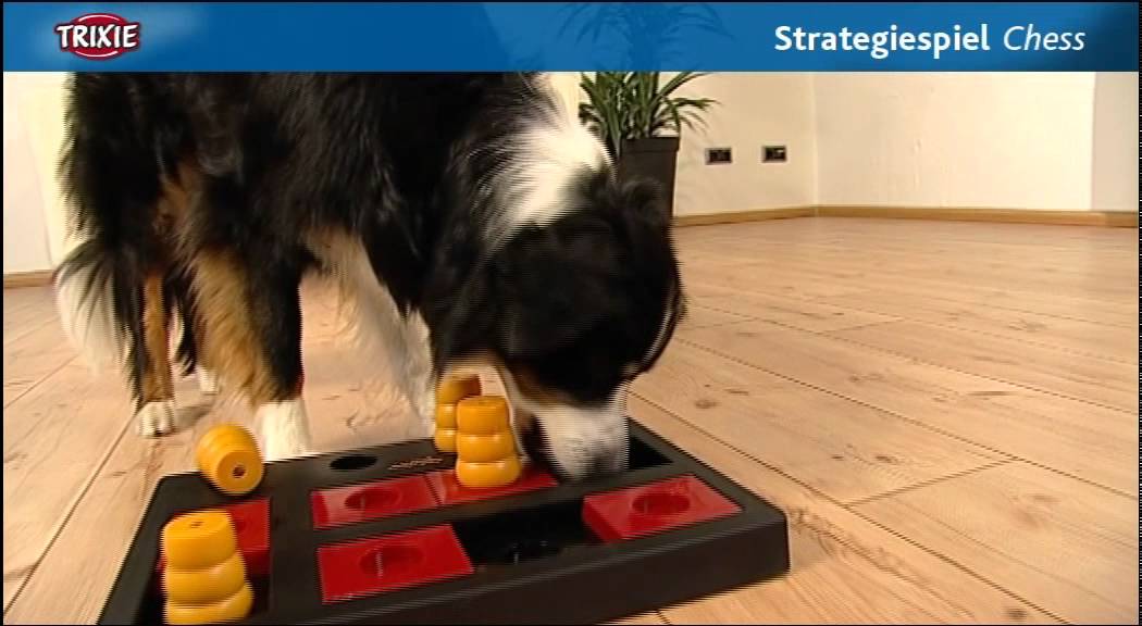 32022 Trixie Dog Chess Activity Strategy Game