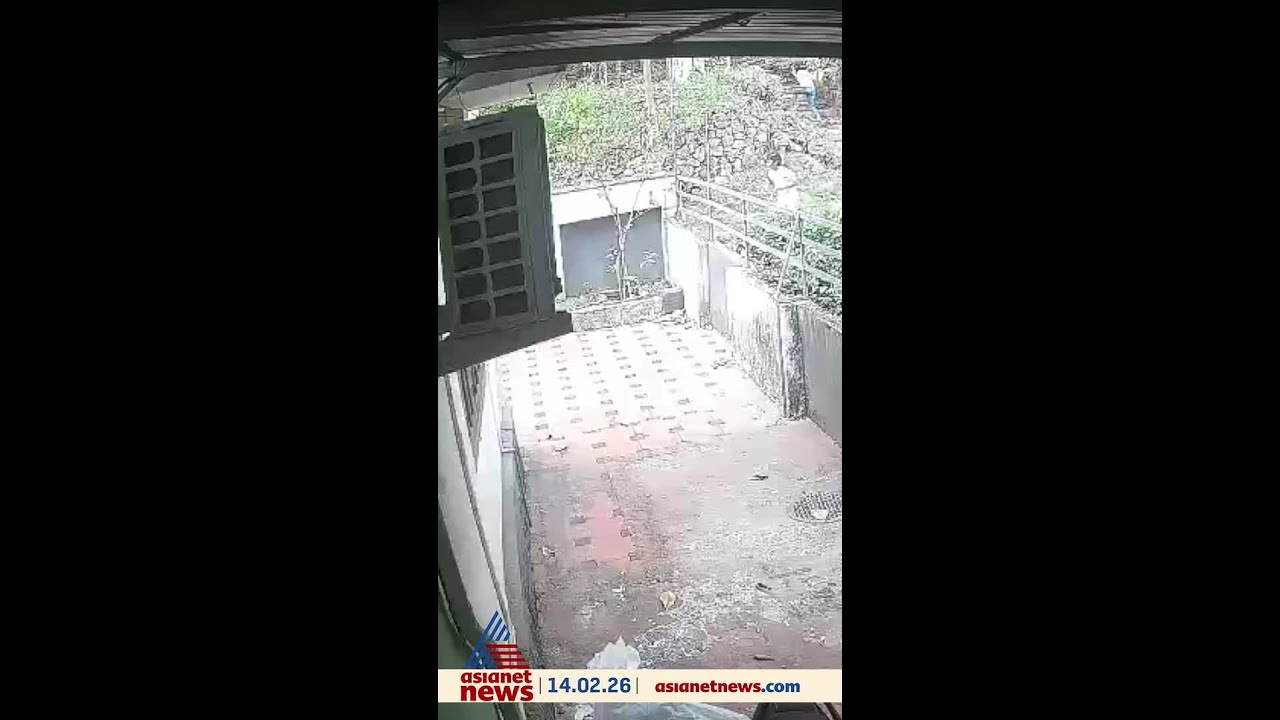 തലനാരിഴയ്ക്ക്! കാട്ടുപന്നി ആക്രമണത്തിൽ നിന്ന്  അദ്ഭുതകരമായി രക്ഷപ്പെട്ട് കുട്ടികൾ