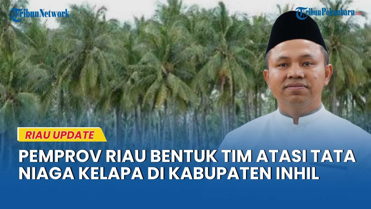 Pemprov Riau Bentuk Tim Khusus Atasi Tata Niaga Kelapa, Libatkan Pemkab Inhil dan PT Sambu