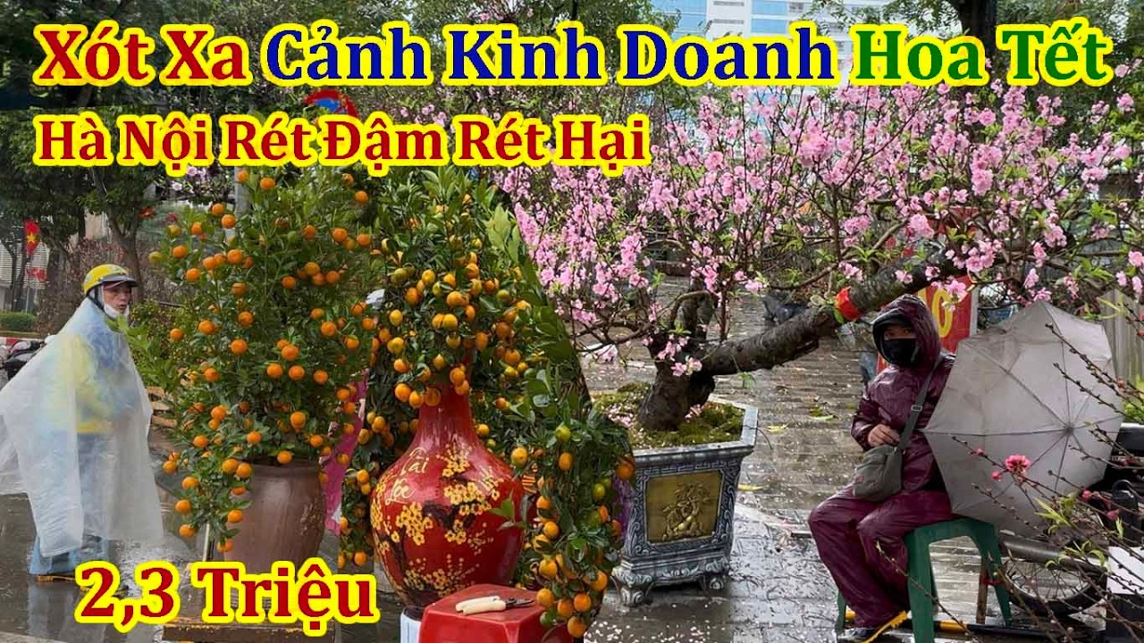 Mưa Buồn Thê Thảm Xuống Chợ Hoa Xuân Đường Lạc Long Quân Hà Nội