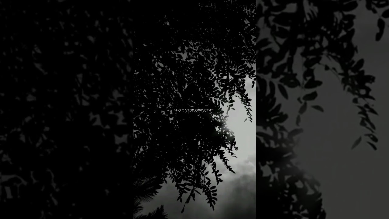 TRAGEDY - УТРО НЕ НАСТУПИТ (SNIPPET) 