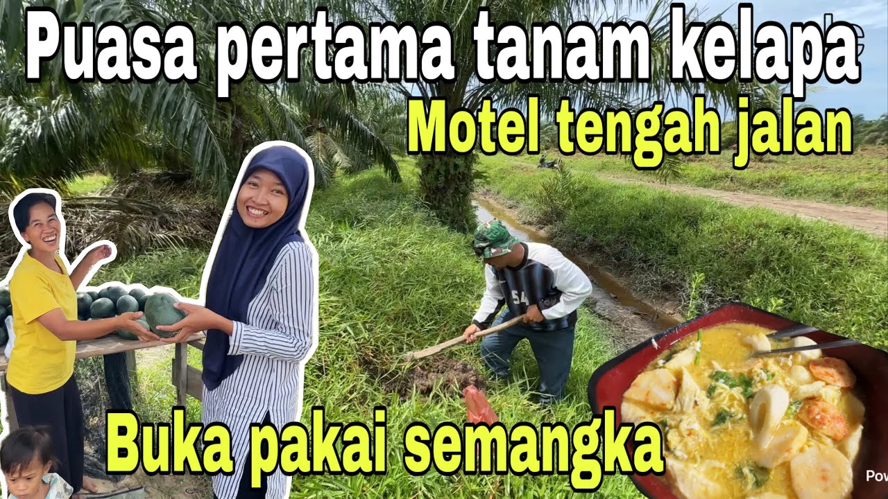 PUASA PERTAMA TANAM KELAPA JADI PENGEN MOTEL⁉️ BUKA PUASA PAKAI SEMANGKA 