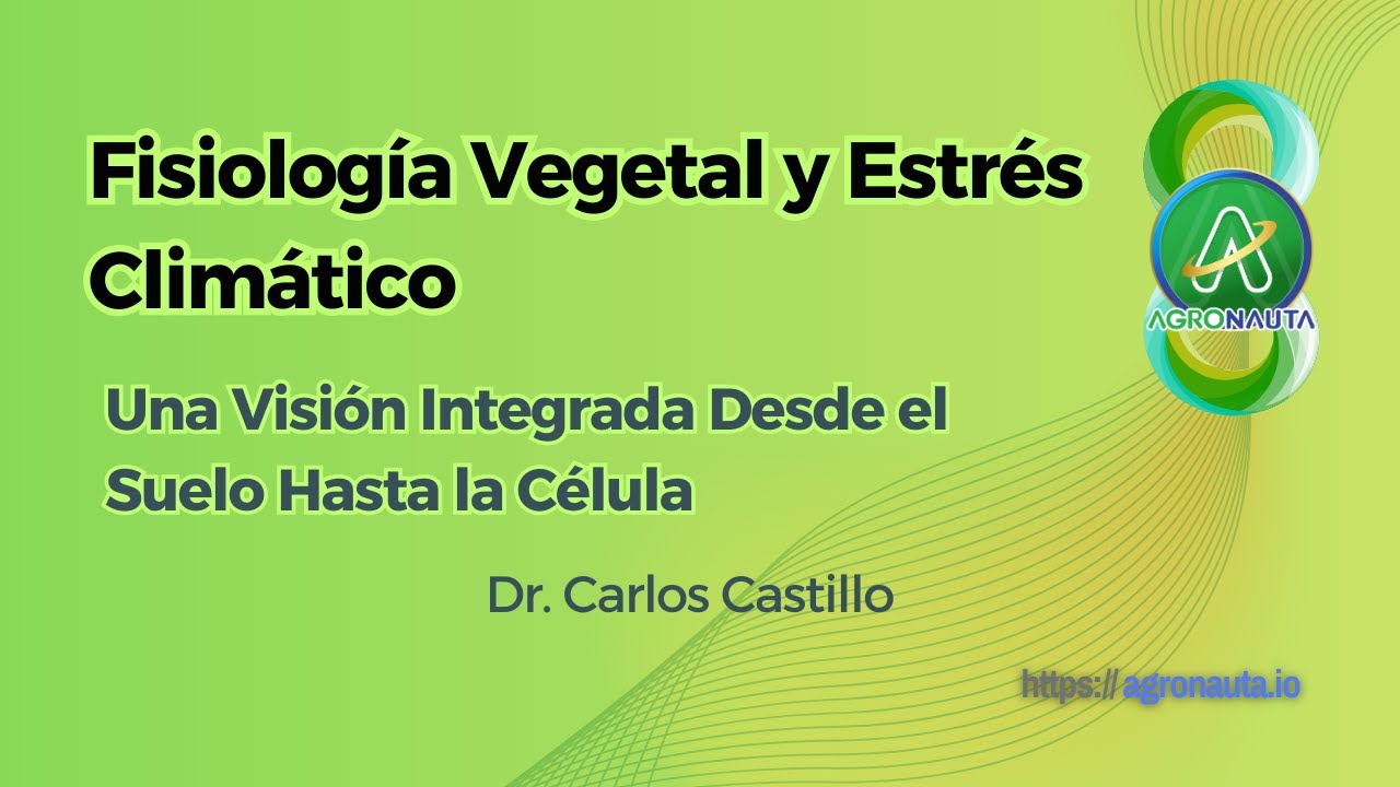 Fisiología Vegetal y Estrés Climático: Una Visión Integrada Desde el Suelo Hasta la Célula