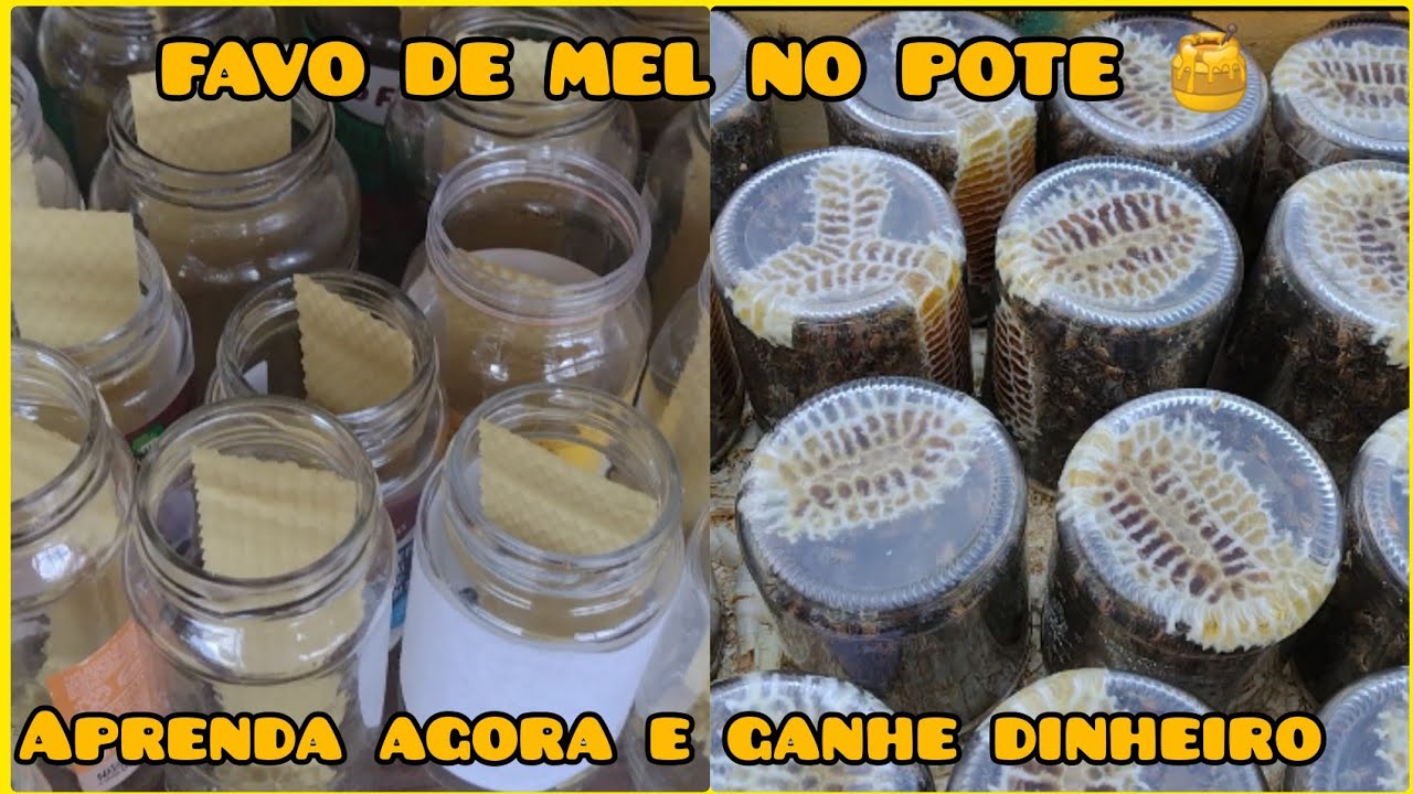 🟡FAVO DE MEL NO POTE PRODUZIDO PELAS ABELHAS, IDEIA PARA LUCRAR E VENDER MUITO, APRENDA AGORA