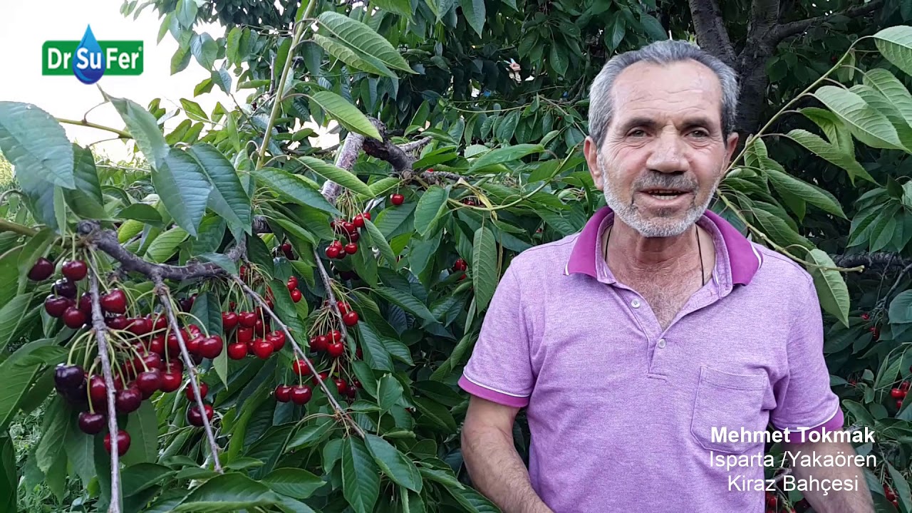 Mehmet Tokmak - Kiraz Bahçesi Isparta/Yakaören