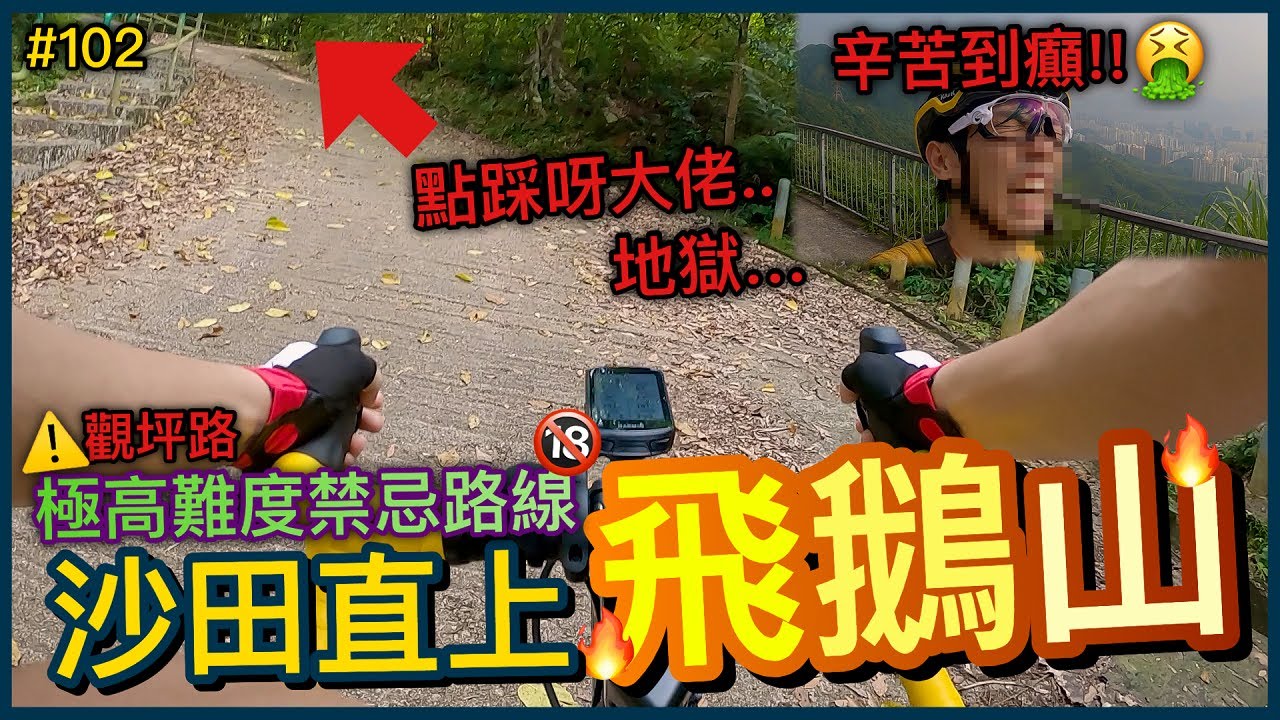 由沙田踩單車上飛鵝山最快路線！！越級挑戰打大佬！非高手勿近路線..極高難度...《觀坪路篇》上集│香港公路單車EP.102