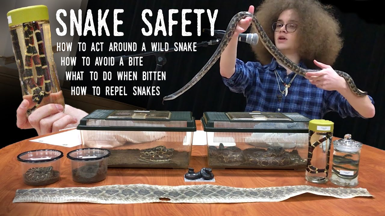 SNAKE SAFETY - Bite Prevention, Protocol, Snake Management, and Myths