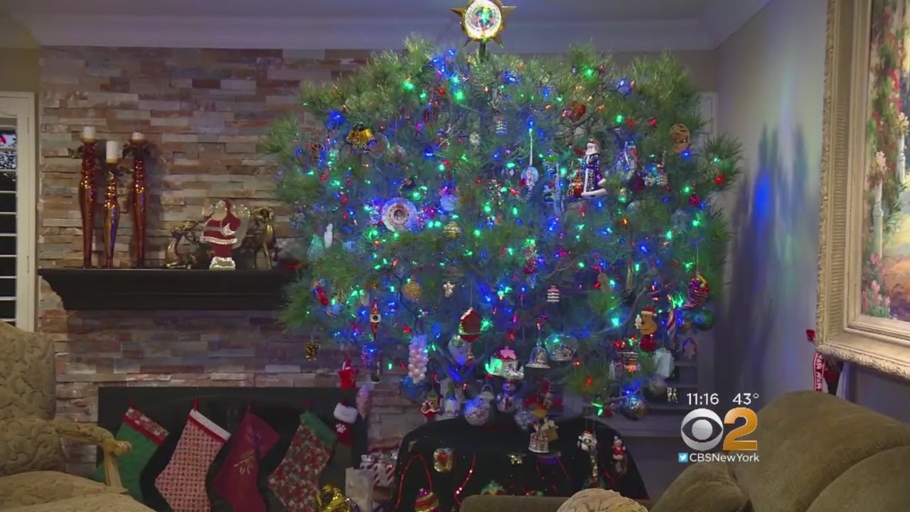 Family Has 34-Year-Old Christmas Tree