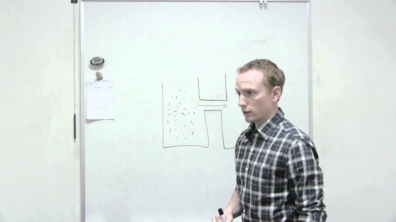 Concentration Gradient