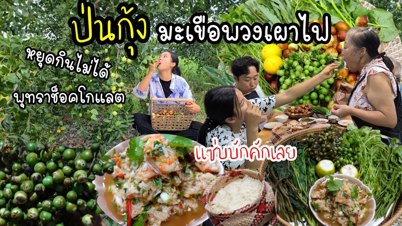EP.566 ป่นกุ้ง กับ มะเขือพวงเผาไฟ ผักลวกข้าวหนียว เเซ่บคัก หยุดกินไม่ได้พุทราช็อคโกเเลต