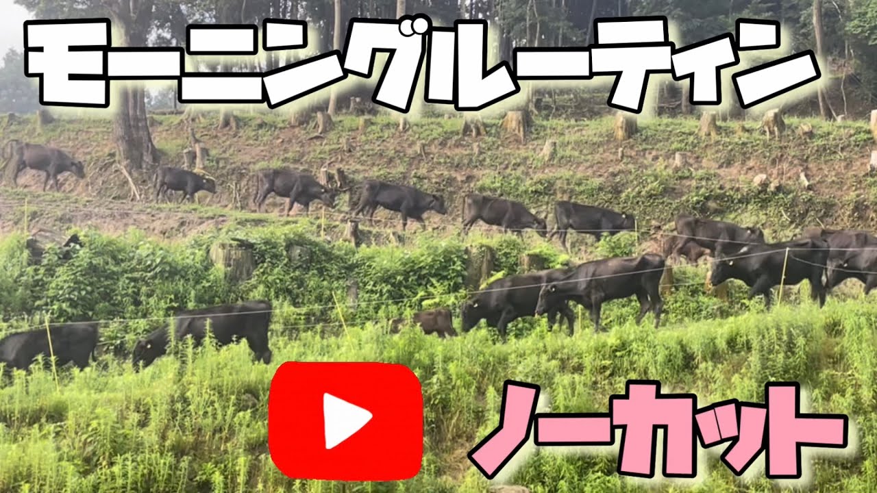日頃カットする箇所もそのまま撮影します