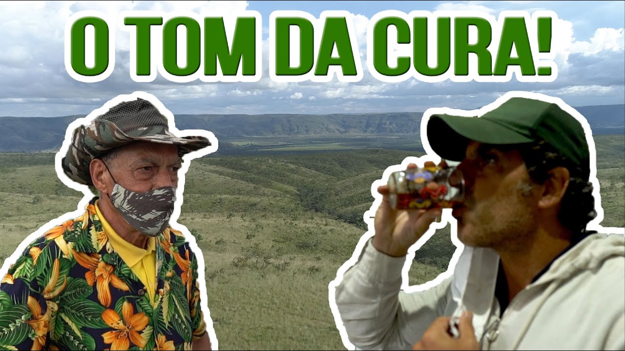 Na Chapada dos Veadeiros conheci a sabedoria ancestral do Tom das Ervas.