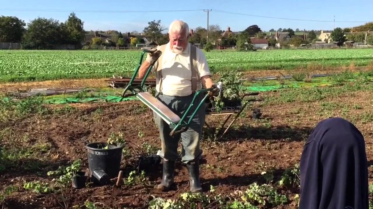 Bob's Favourite Tools