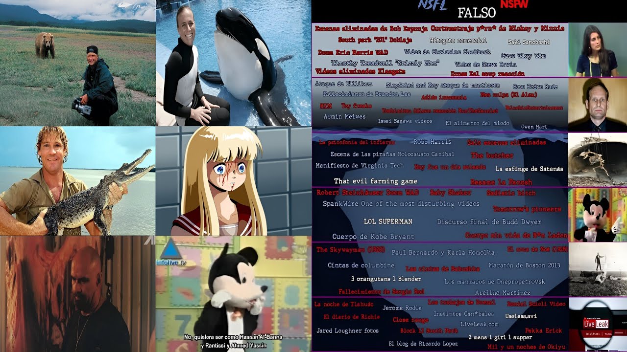 El oscuro Iceberg de la Lost Media NSFL Y NSFW