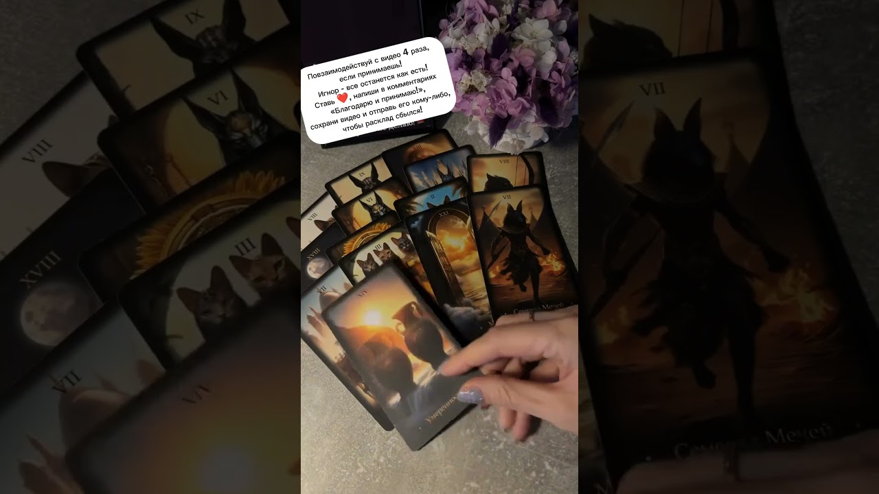 Контакты ❤️