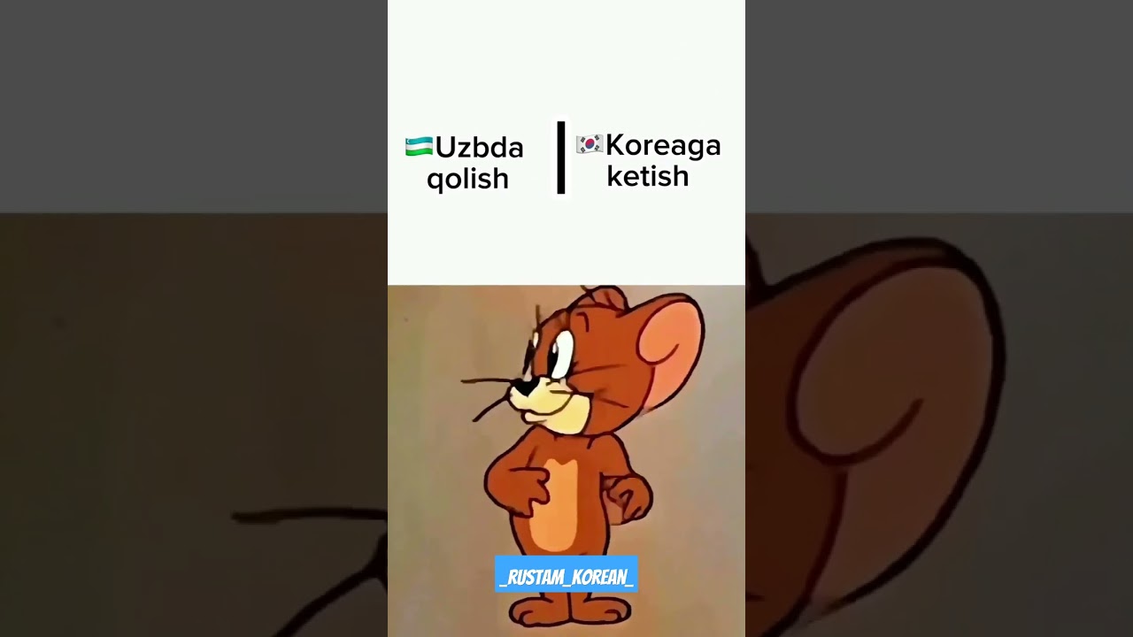 Koreyaga ketish..!!‼️🇰🇷🇺🇿