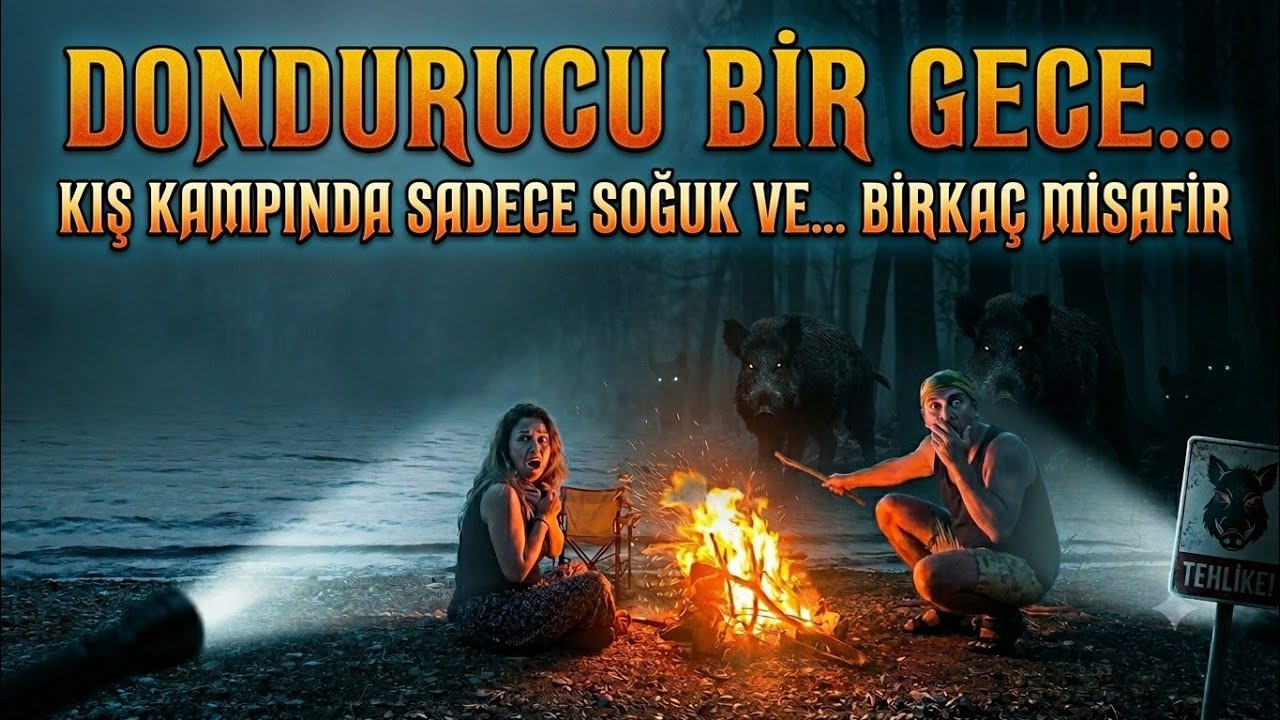 KAMPIMIZI YABAN DOMUZLARI BASTI - PAPAZ KOYU  MUĞLA