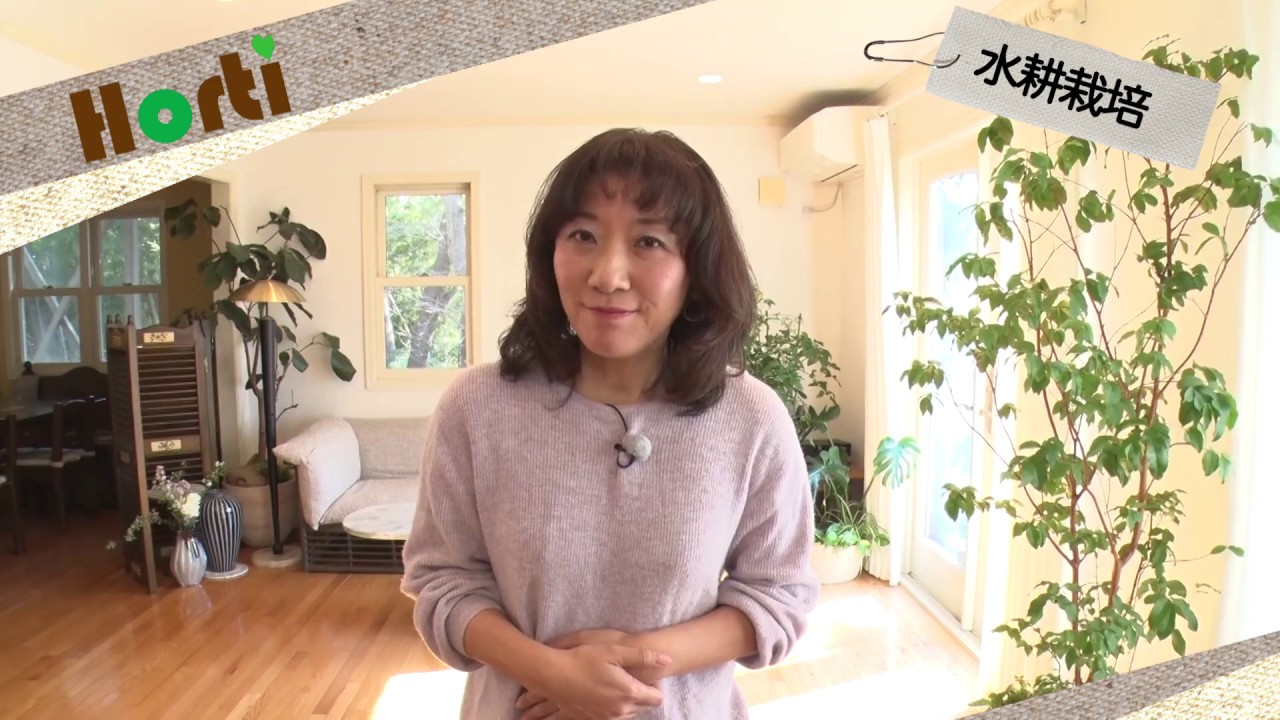 おうちでできる超簡単！水耕栽培
