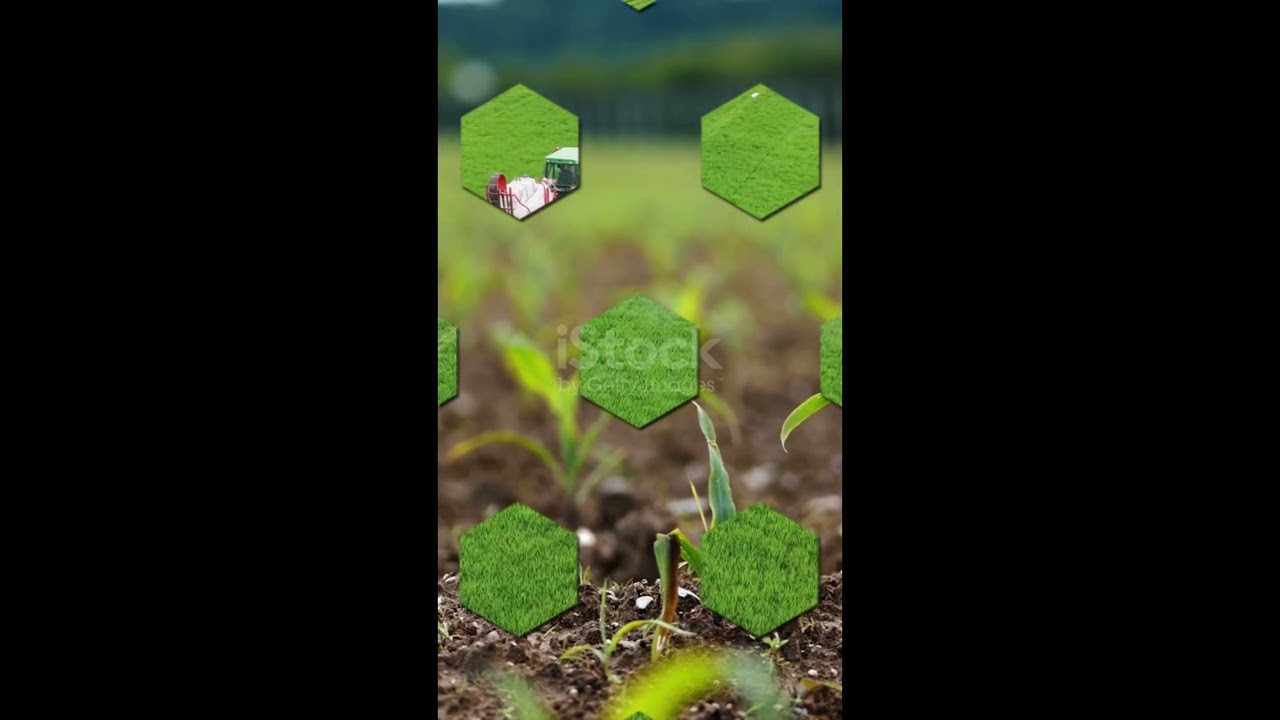 NPK 20-20-20 &mdash; 3 главные ошибки  #agromaslahat #azot #garden #удобрения#агробизнес  #karbamid #agro