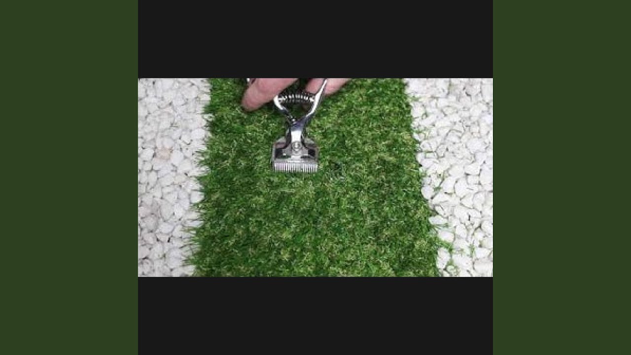 Asmr Tascam Grass Cutting with Hair Clippers, No Talking, Pt. 5