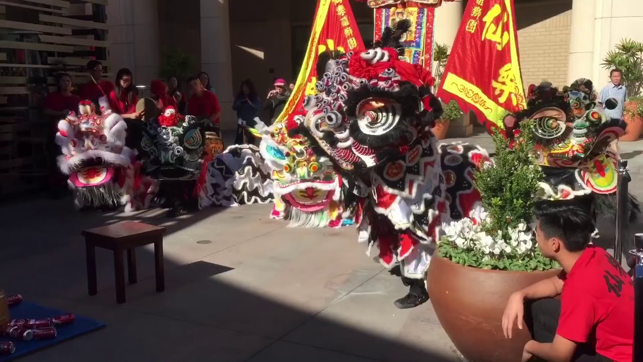 Immortals Traditional Lion Dance Performance