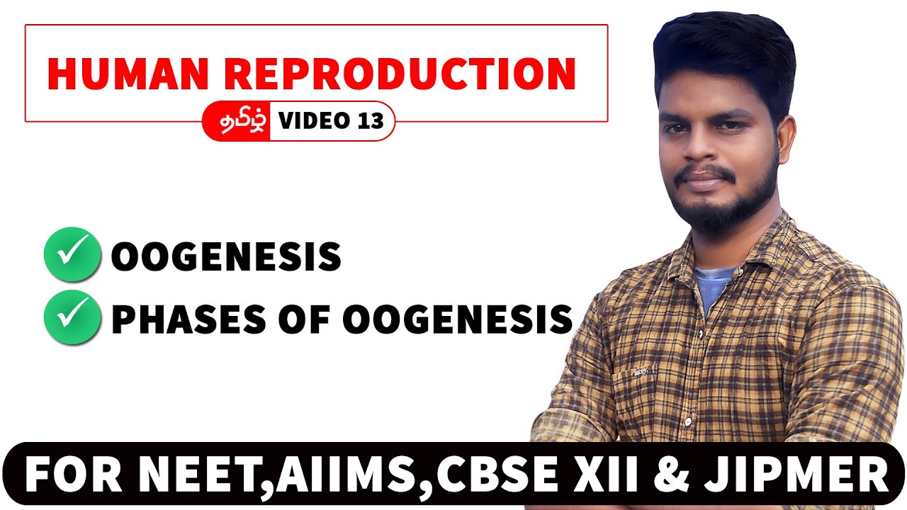 Oogenesis in Tamil | Human Reproduction in Tamil (13)
