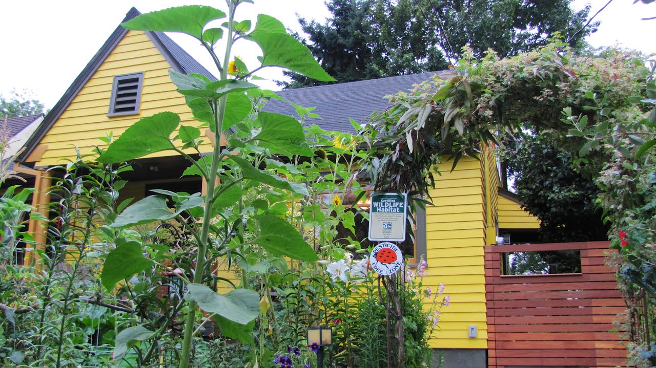 Creating a Pesticide Free Neighborhood