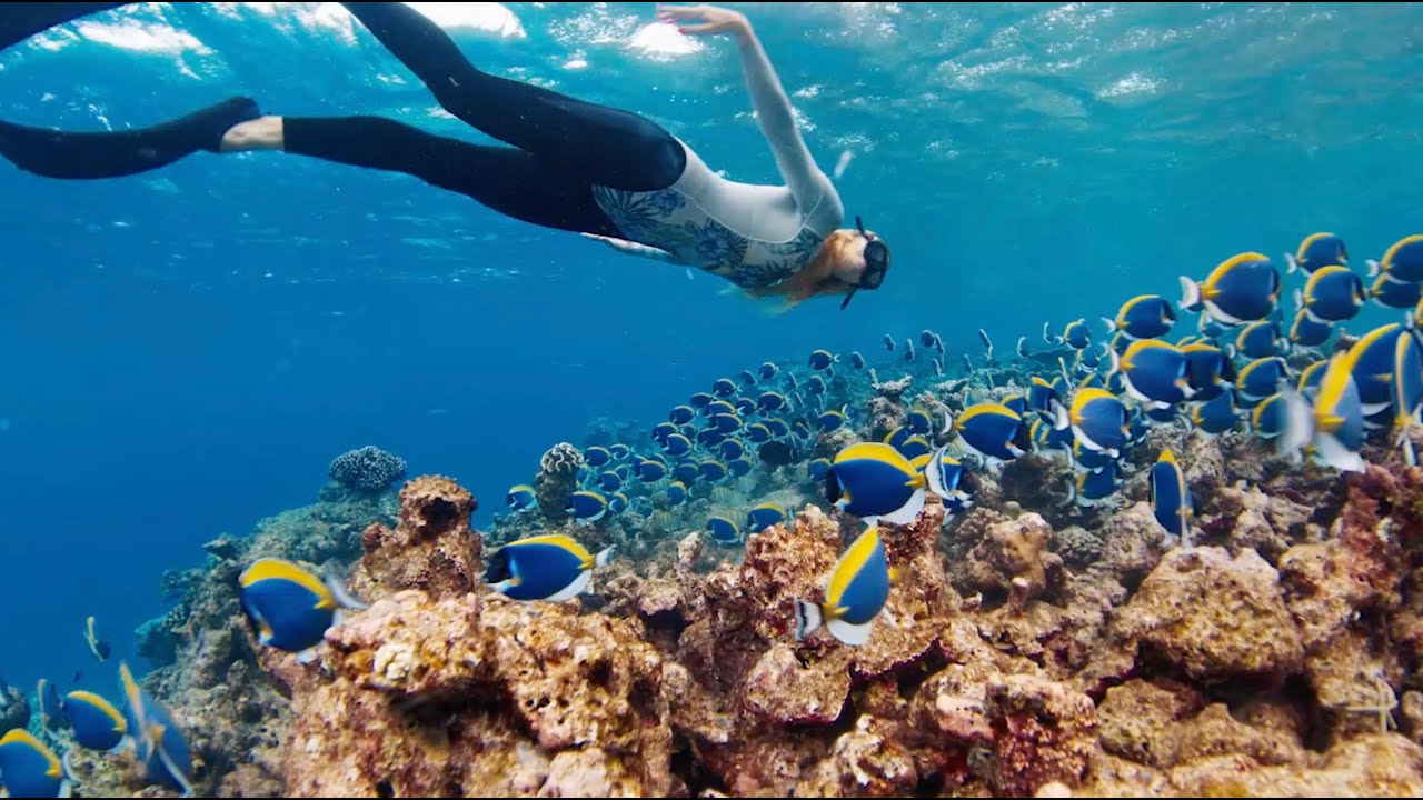 GoXtreme Black Manta Action Cam