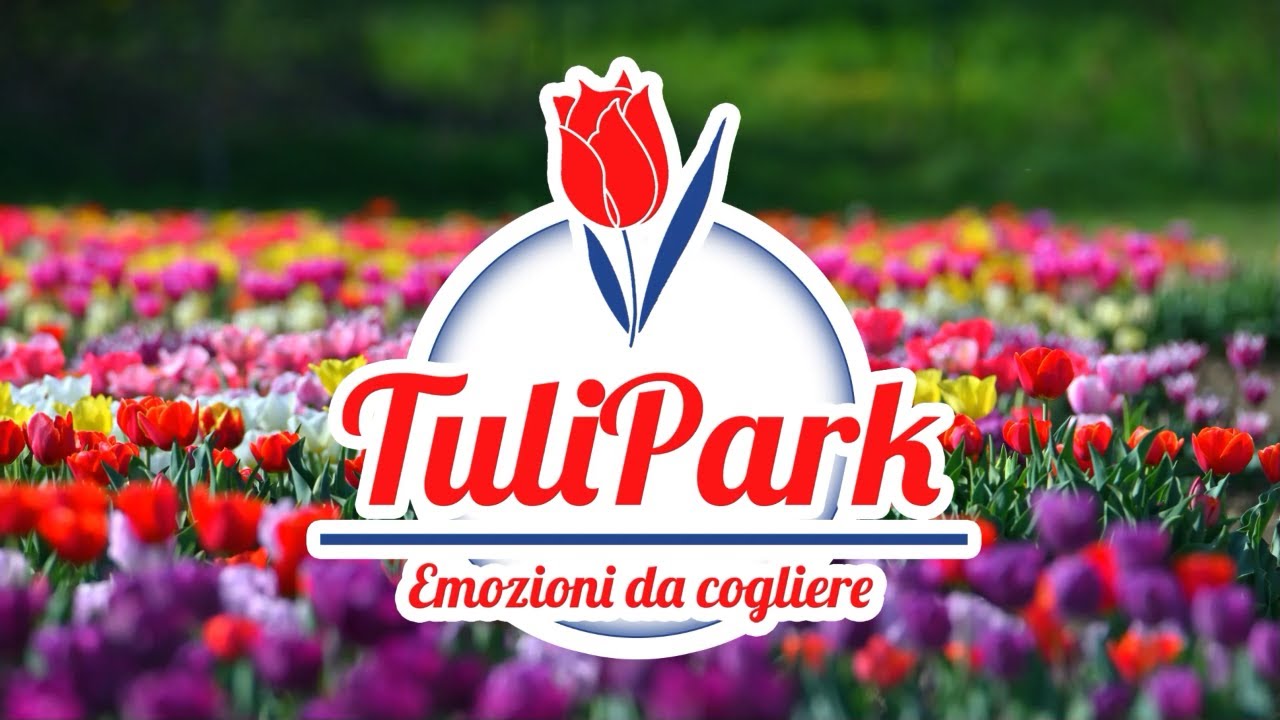 ✅ Video Promozionale - Tulipark Bologna - il Parco dei Tulipani