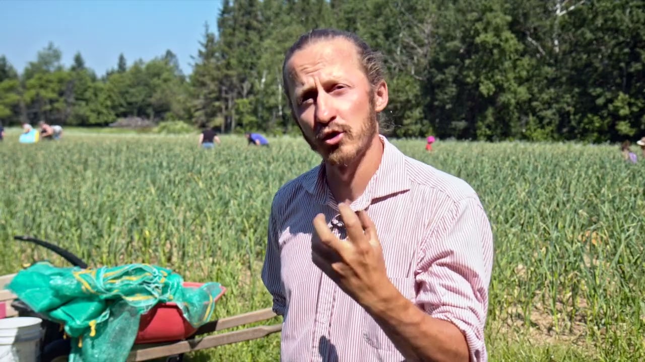 Producteur du mois : La Chatouilleuse (Sainte-Sophie-d'Halifax)