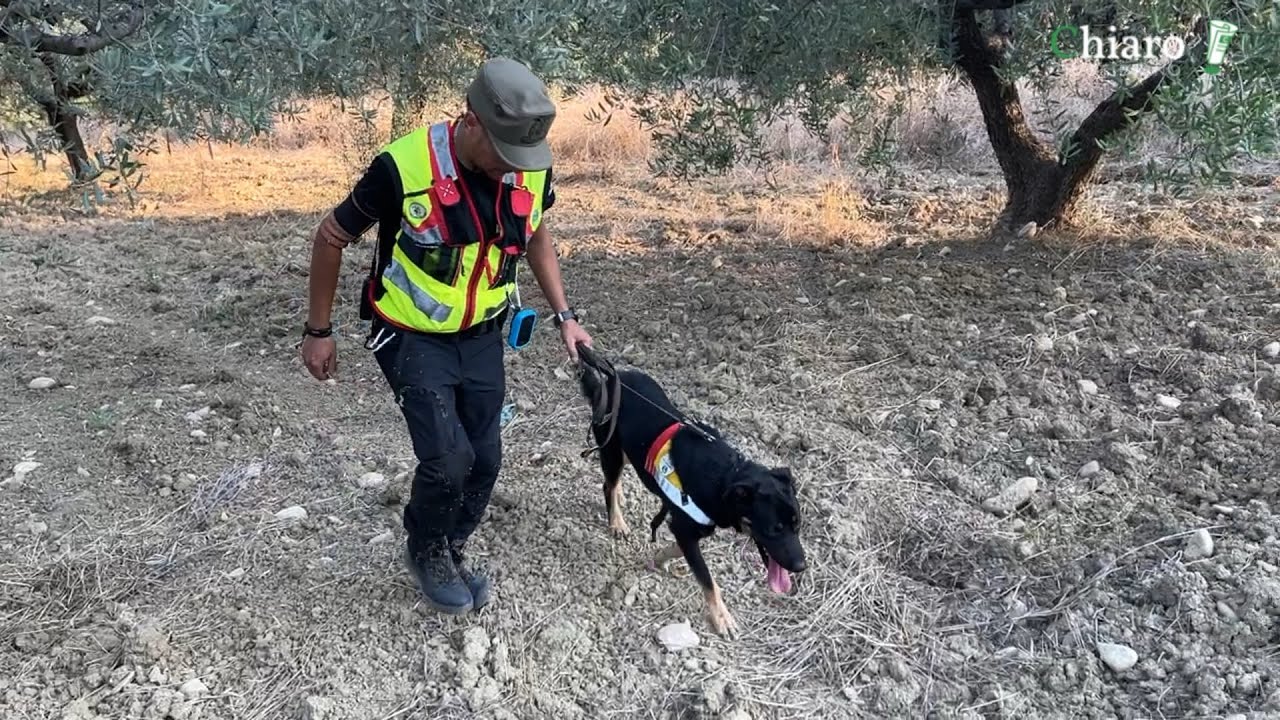 69enne disperso a Monteodorisio, ricerche con le unità cinofile nella zona del depuratore