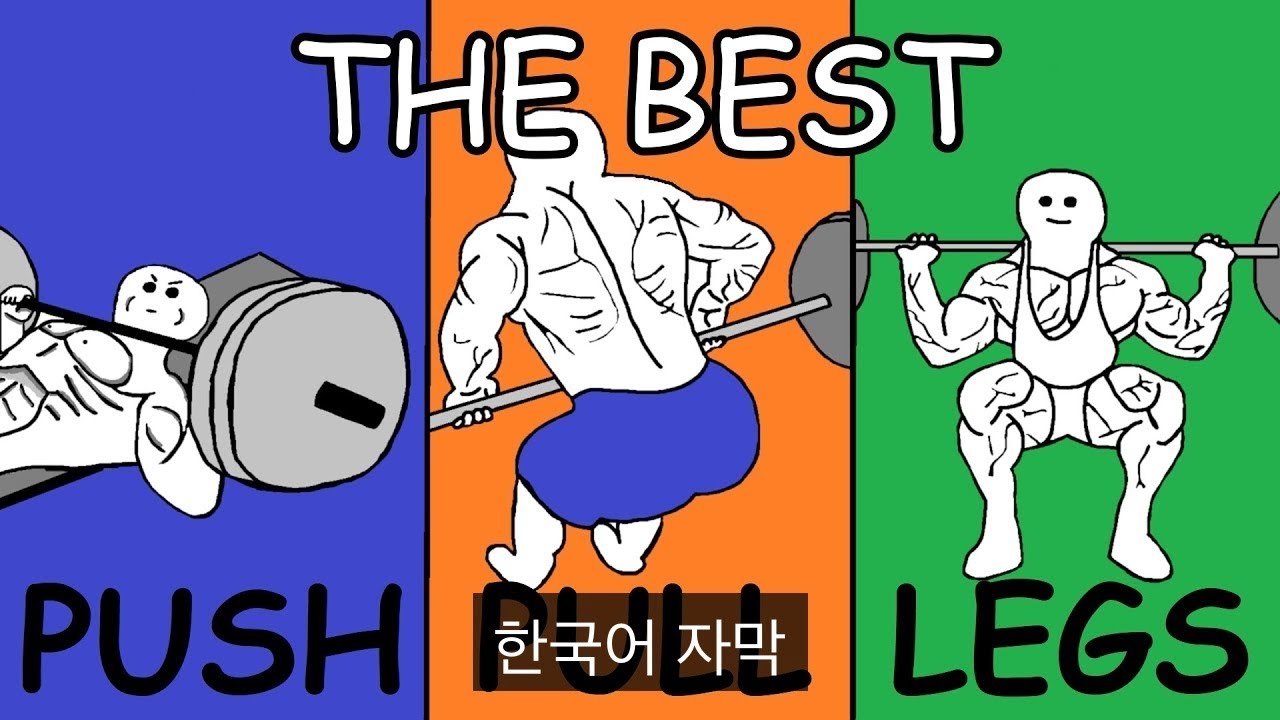 헬창 6일 루틴 정착템! PPL 분할, 비효율 싹 제거하고 '최적화 6분할' 짜는 법 (무료 템플릿 포함)